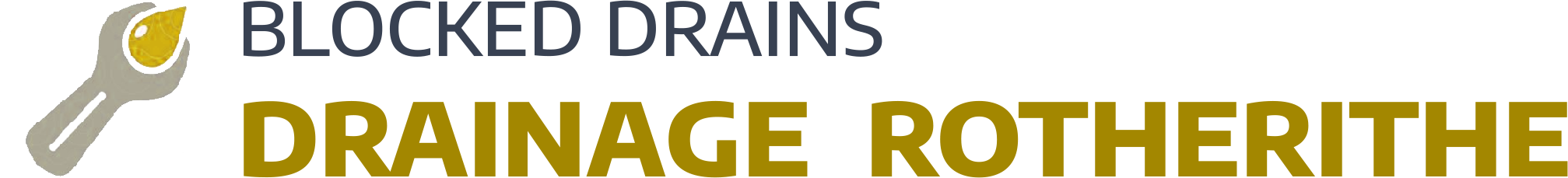 website logo
